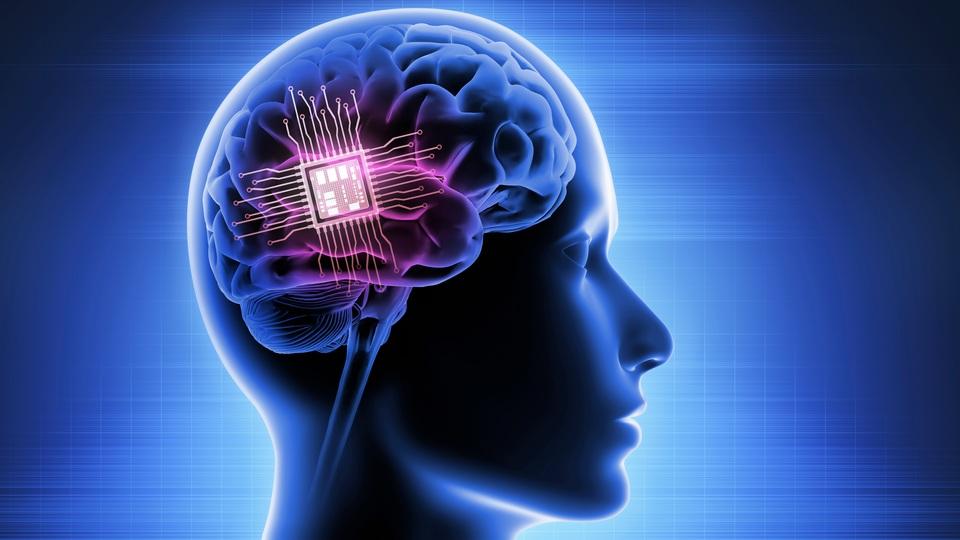 安全なの？ イーロン・マスクのニューラリンクが脳にチップを埋め込む被験者募集