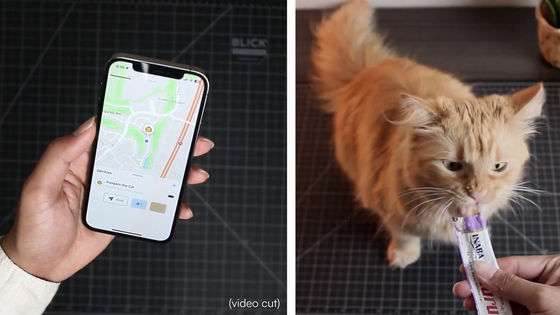 ペットのネコがどこにいるかをリアルタイムで追跡可能なオープンソースのペットトラッカー「FindMyCat」