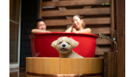 栃木・那須高原で「愛犬」と一緒に「露天風呂＋バレルサウナ」