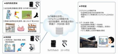 NTT東×神奈川県、IoT機器で家畜衛生業務の効率化を図る実証実験