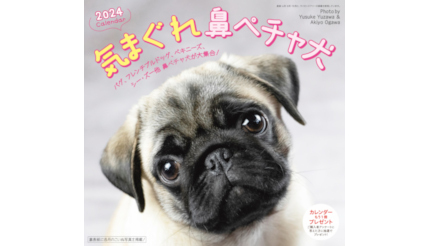 2024年版「鼻ペチャ犬カレンダー」新発売！