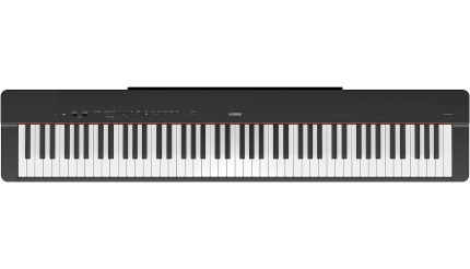 ヤマハ新製品「P-225」が2位浮上、23年10月に売れた電子ピアノTOP10 2023/11/23