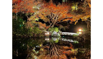 寒くなって紅葉が見ごろに！ 東京・品川の「池田山公園」でライトアップイベント