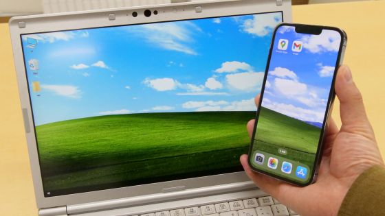 あの「Windows XPの壁紙」をMicrosoftがスマホとPC向けに無料配布＆Windows XPセーターも販売