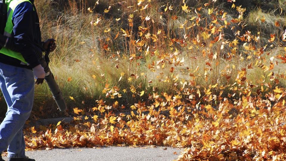 うるさい＆排ガスがひどい。全米で落ち葉ブロワ禁止の動き