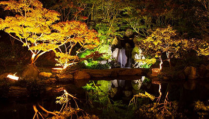 兵庫・神戸市の「しあわせの村」で日本庭園のライトアップ、「逆さ紅葉」も
