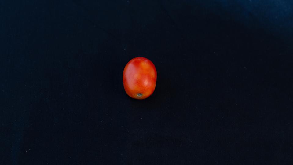 ISS内で行方不明になっていたミニトマト、ようやく見つかる