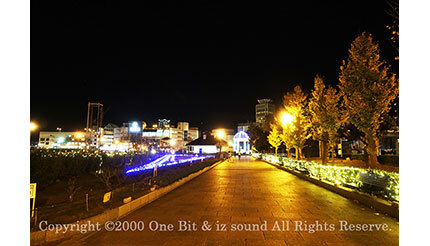 横須賀のヴェルニー公園で初のイルミネーション、毎日17〜21時に点灯