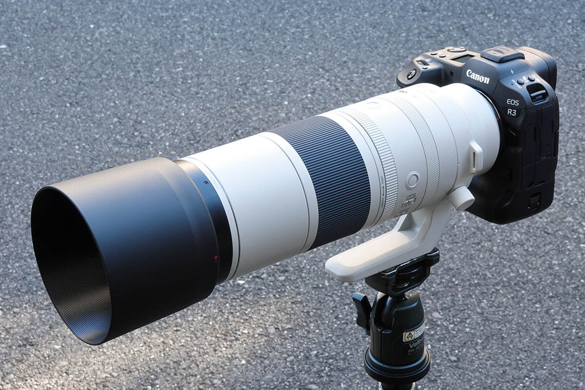 キヤノン「RF200-800mm F6.3-9」レビュー 心地よき使用感の源は孤高のテレ端焦点距離にアリ！