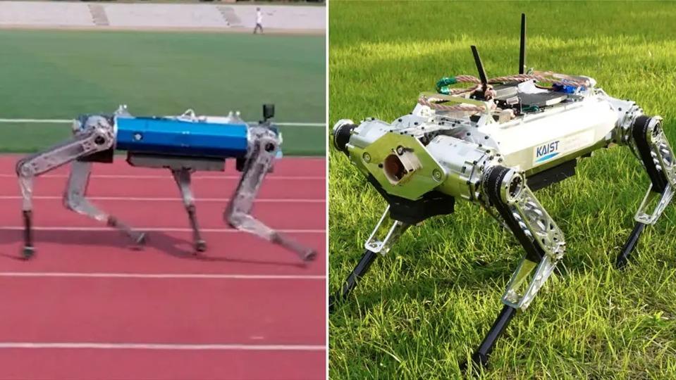 韓国の犬型ロボ、100m走でギネス世界記録を達成