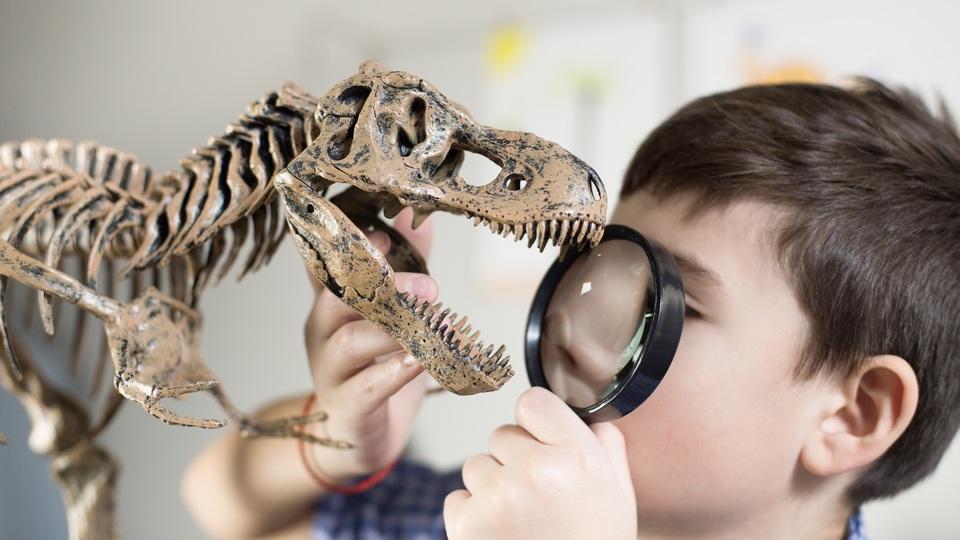 鍵はホルモン分析。恐竜の化石から性別を判別する研究