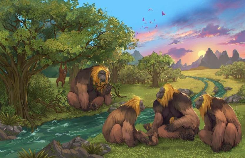 身長3mの大型類人猿「ギガントピテクス」が絶滅した理由