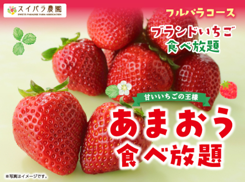 「赤い」「丸い」「大きい」「うまい」から名付けられた「あまおう」が食べ放題！