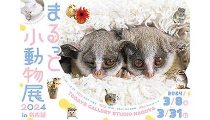 名古屋で開催！ 小動物が主役の合同写真＆物販展「まるっと小動物展」
