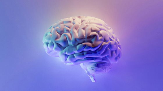 Neuralinkが最初の患者の脳に埋め込んだ電極付きスレッドはもはや15％しか正常に機能していないがFDAは2人目の臨床試験を承認