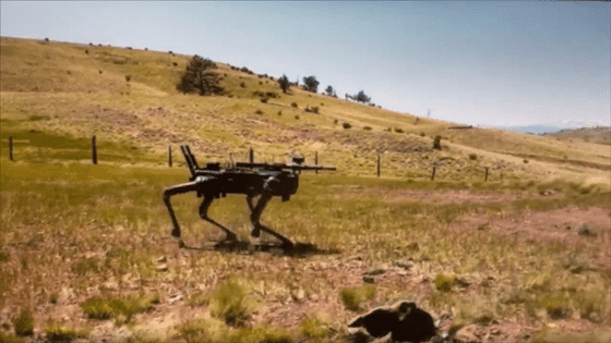 背中にライフルを搭載したロボット犬を海兵隊の特殊部隊が試験運用中