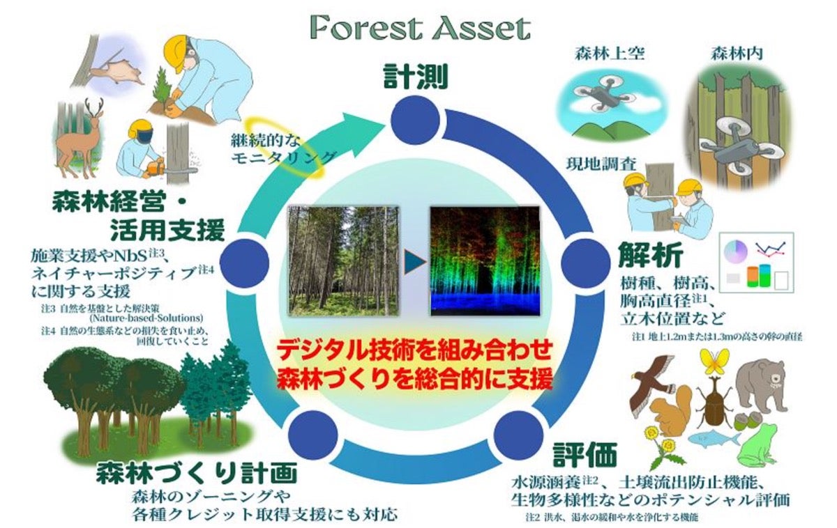 鹿島、森林内自律飛行ドローンを活用した森林の付加価値を評価する技術を開発