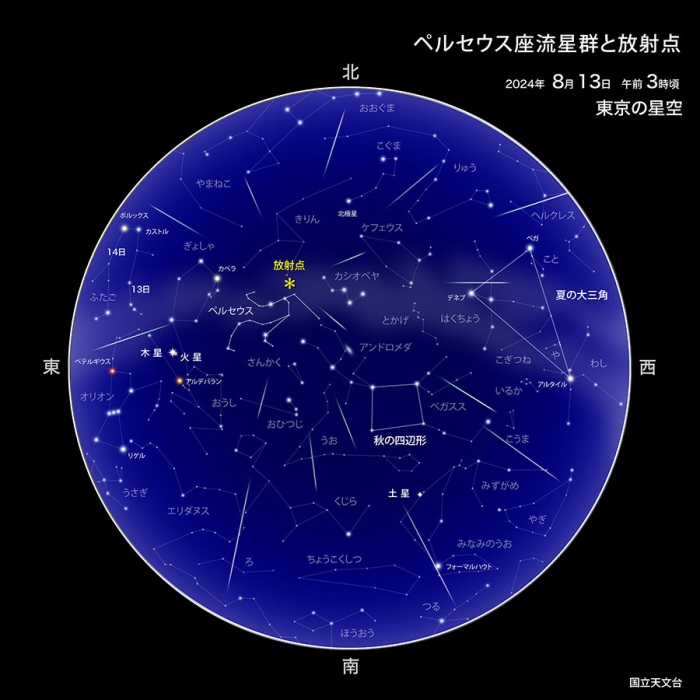 ペルセウス座流星群、8月12日深夜から翌未明にかけて見頃 国立天文台