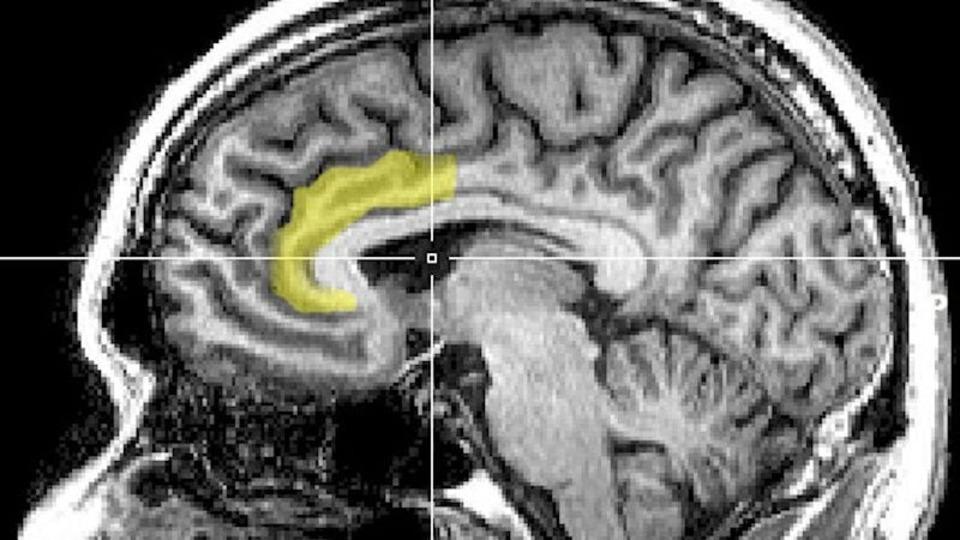 効いてる気がする…？ プラセボ効果のメカニズムとは