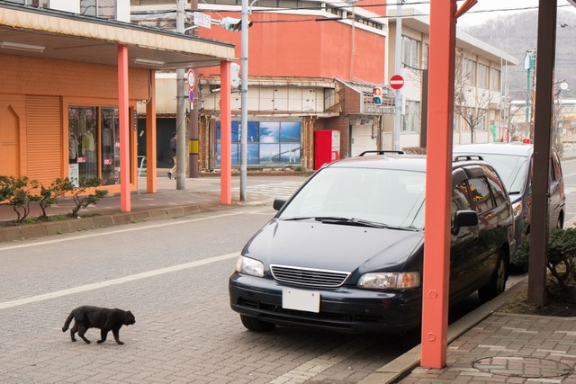 「駐車」と「停車」の違い、正しく理解していますか 「5分以内なら駐車にならない」「エンジンがかかっていれば停車」は誤解です