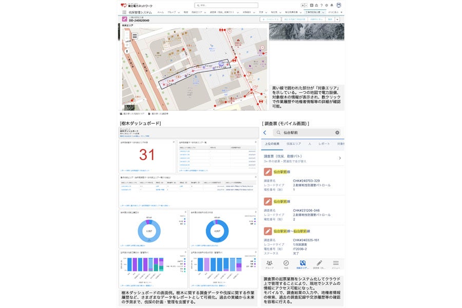 東北電力ネットワークが配電フィールド業務をDX – 第一弾は伐採管理業務の一元管理