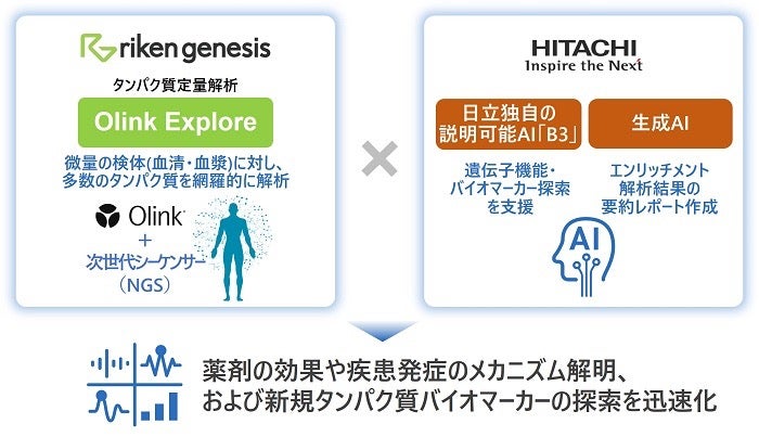 理研ジェネシス×日立、タンパク質定量解析「Olink Explore」をAIで高度化して提供