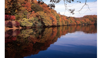 静岡・伊東市にある「一碧湖＆丸山公園」の紅葉は12月上旬が見ごろに