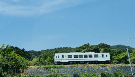 若い人に「鈍行」が通じないって本当? 年齢や地域で差が出る電車の呼び方