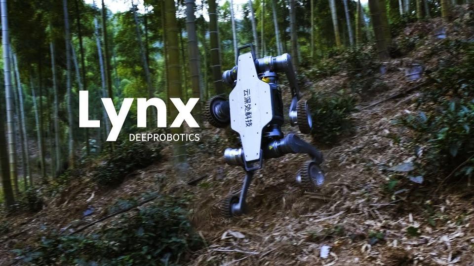 とてつもない運動神経。岩山もぐいぐい登っちゃう犬型ロボット