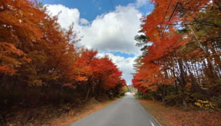 田舎でのんびり「好きと得意」で起業しよう！ 八ヶ岳南麓はもう冬の始まり