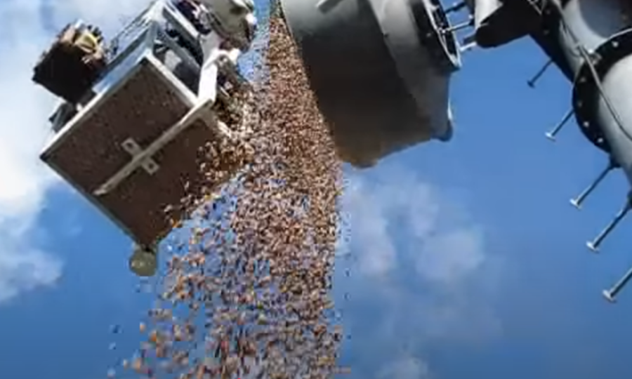 アンテナが電波障害→開けたらどんぐりギッチギチ