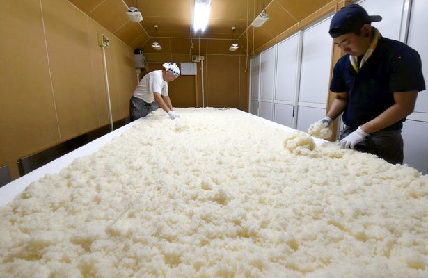海外でのSAKE人気が追い風に…原則新規発行されない「日本酒製造免許」、規制緩和を政府検討