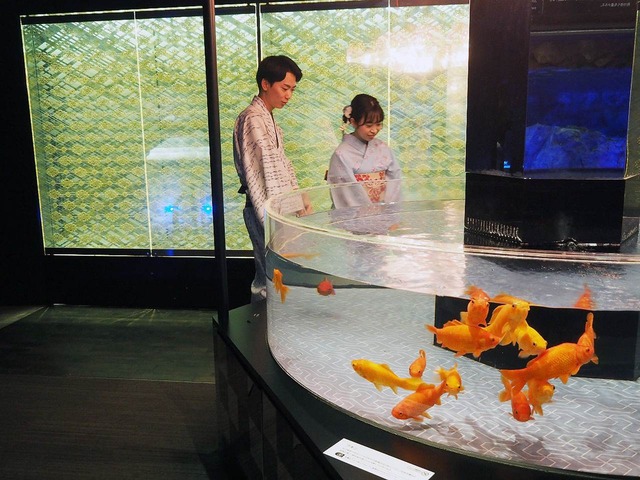 美しい夏の風物詩「金魚」の歴史と魅力に触れる!すみだ水族館、「東京金魚〜時代を泳ぐ、小さなミューズたち〜」を開催