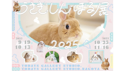 癒される!東京・浅草橋で「うさぎしんぼる展 2025」を開催