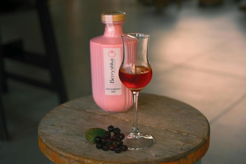 魔法的なおいしさ!スロベニア発スーパーフード「アロニア」入りのピンクジン「Gin ‘N Berry」