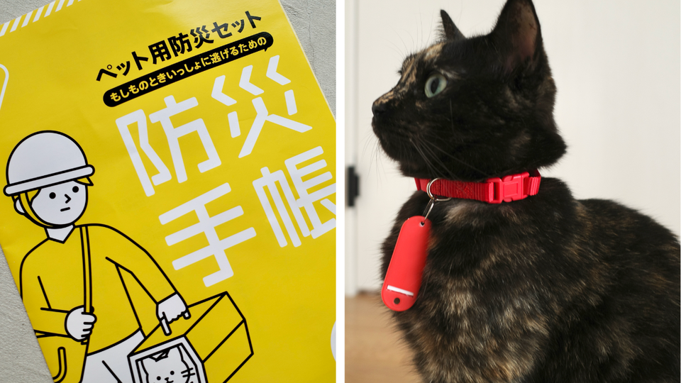 防災=人間だけじゃない。猫用の避難セットがあるなんて知らなかった
