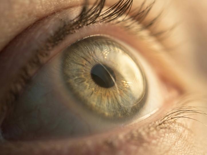 目の状態を感知して「自動お薬係」になるコンタクト実験中