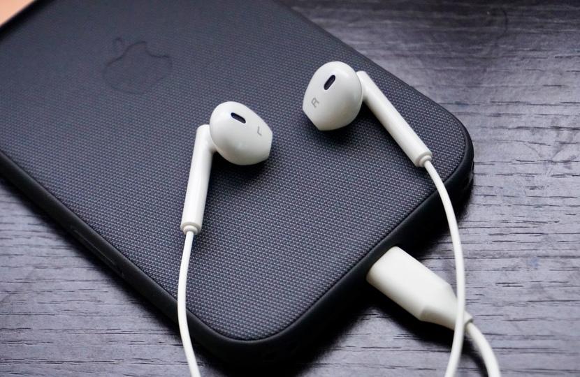 無印良品の有線イヤホン、スペア用としてはアリ。見た目は「既視感ある」けど機能は…