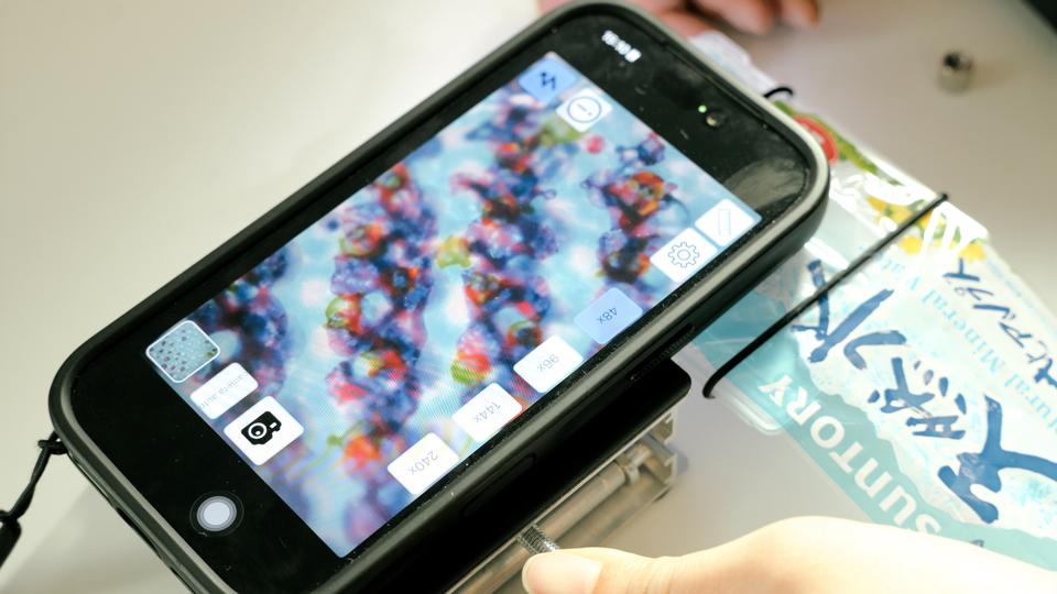 繊維のジャングルに岩肌のような皮膚。スマホでサクッと見れるミクロの世界が楽しすぎた