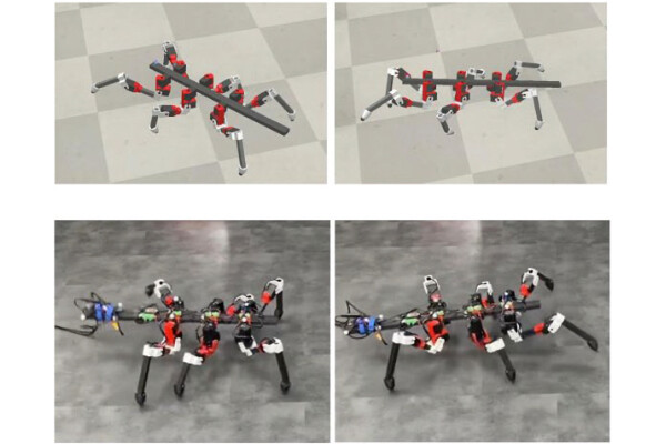 ナナフシの歩行データから多脚ロボの制御即を抽出するAI、東北大が開発